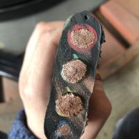 上海浦东振豫扁电缆专业**