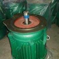 起重机电机优质生产厂家减速机电机