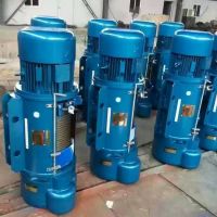 舟山电动葫芦维修