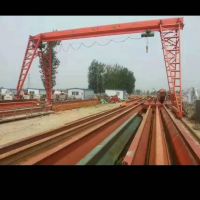 天津西青龙门吊安装改造