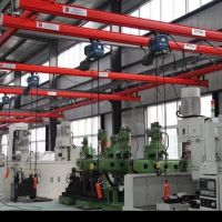 天津起重机-新型欧式起重机