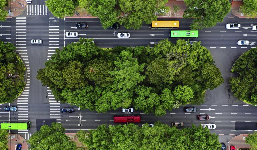 （环境）（6）长春：城市&ldquo;绿妆&rdquo;