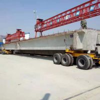 四川路桥运梁车  四川起重机 四川液压货梯 定做维修