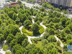 河北霸州大力建设城市公园