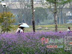 昔日垃圾场变身城市公园