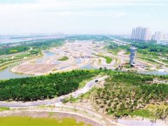 临港湿地公园二期工程开始收尾