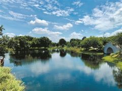 海珠湿地三期建成开园