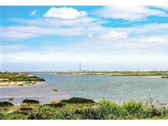 西青区“西西?！鄙鼗廊灰恍?/></a>　　西青区投资2.56亿元打造西西海生态湿地，区域生态环境面貌焕然一新。西西海湿地项目位于独流减河左岸，西起陈台子泵站，东至津王公路，跨度约9公里，占地10465亩。通过优化调整原有鱼塘地形地貌，连通水域，建设净化处理系统，种植绿色植物...<a href=