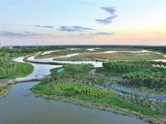 临港湿地公园二期10月中下旬迎客