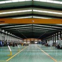 吴江欧式单梁行吊