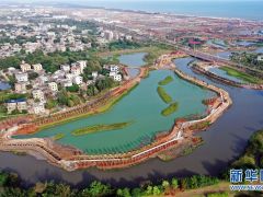 ?？诮虑薷?/></a>　　这是江东新区芙蓉河综合治理工程(11月6日摄，无人机照片)。?？谑薪虑呛Ｄ献悦掣壑氐阍扒?，生态修复是建设中的关键一环。当地通过退渔还湿、河道疏浚、连通水系和种植植被等方式，将昔日的鱼塘打造为湿地公园，实现人与自然和谐共...<a href=