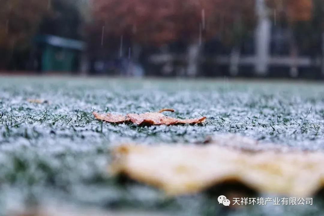 微信图片_20201202083558