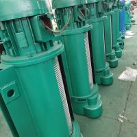 中豫专业生产销售电动葫芦