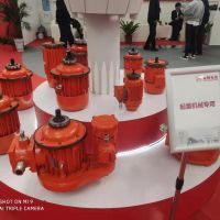 岳阳起重机专用电机