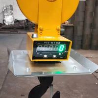 河南烨城电子吊秤