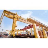 河南双梁门式起重机