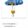 东莞常平防爆电动葫芦销售安装-成宇起重