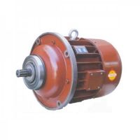 沧州锥型转子单速起升电动机