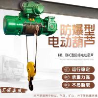 武汉防爆起重机