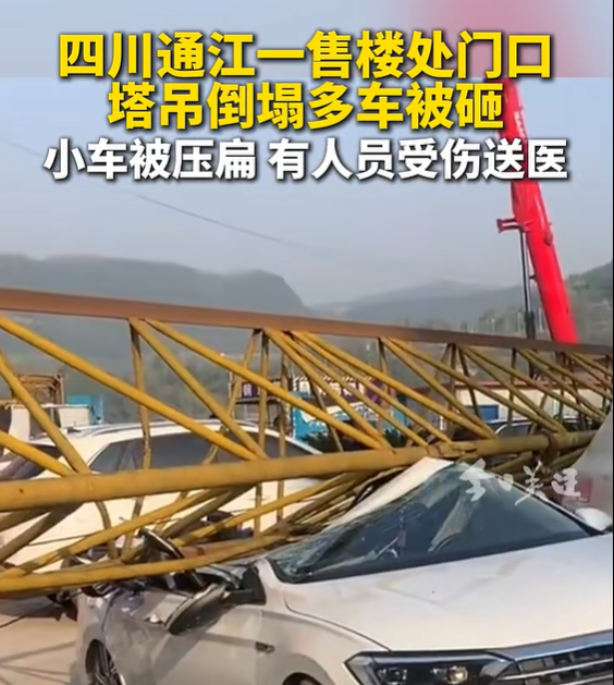 微信图片_20250407155911