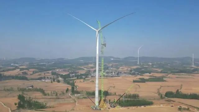 微信图片_2025-05-21_111533_182