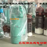 MD双速钢丝绳电动葫芦行吊电动葫芦天吊葫芦